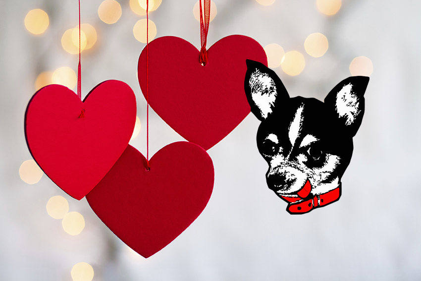 Happy Valentines Day Lost Dog Café Lounge Dining